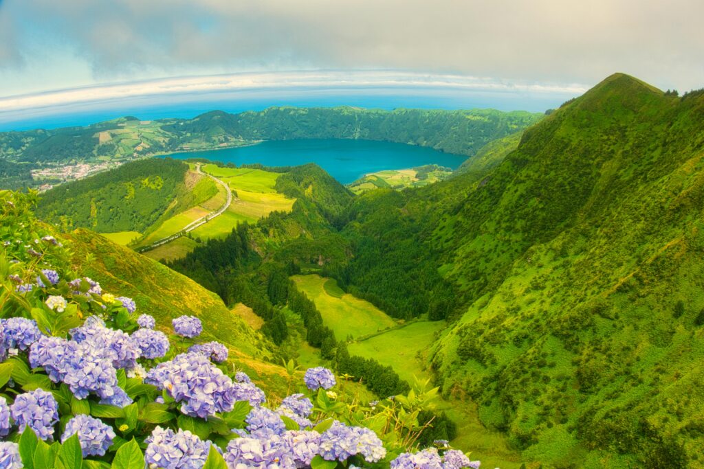 Scenic Green Mountain Landscape with Blooming Hydrangea Flowers, Grota do Inferno, Azores